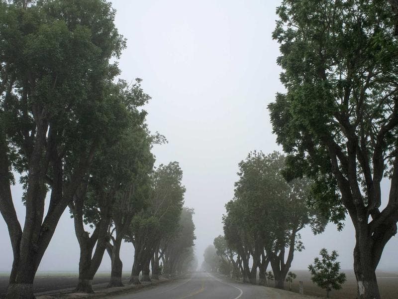 Database & SQL Fundamentals