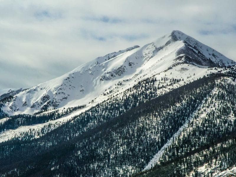 Nutrition & Healthy Eating